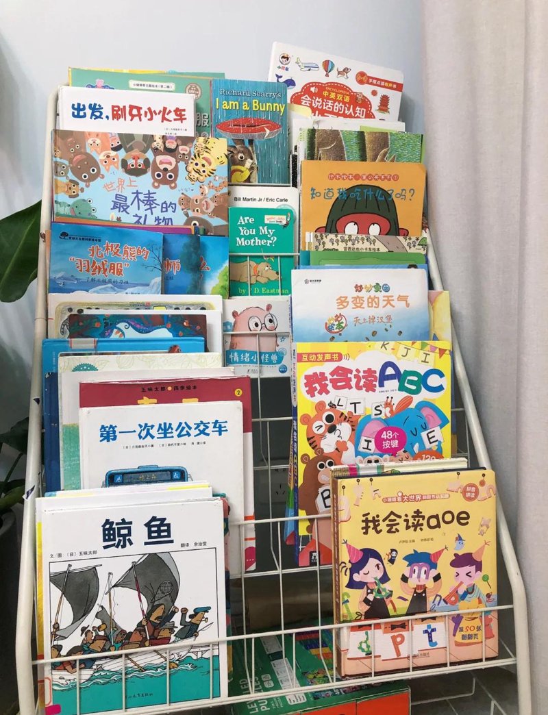 绘本借阅，让阅读成为亲子互动的艺术